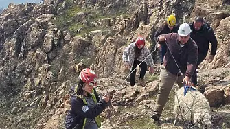Спасиха овца и новородено агне от 400-метрова пропаст в Кърджалийско