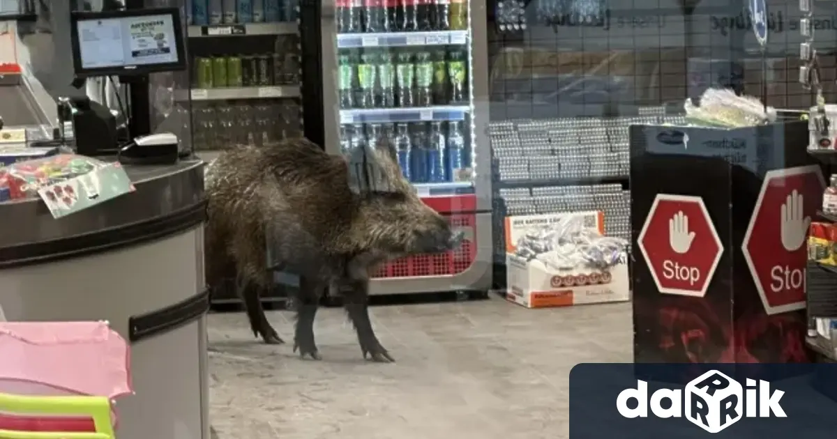 Клиентите на търговски център в германската столица бяха изненадани днес