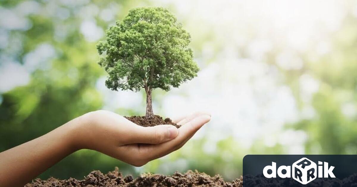 По случай честването на Седмицата на гората 2026 г Югоизточно