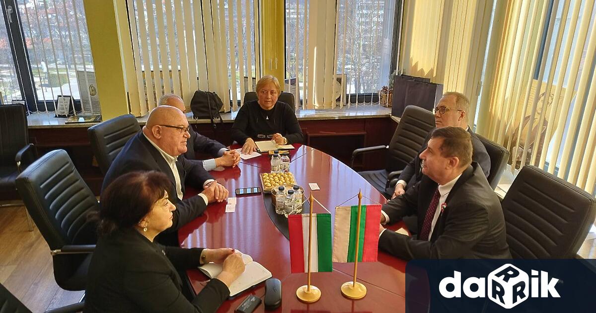 Кметът на община Видин посрещна директора на Унгарския културен институт