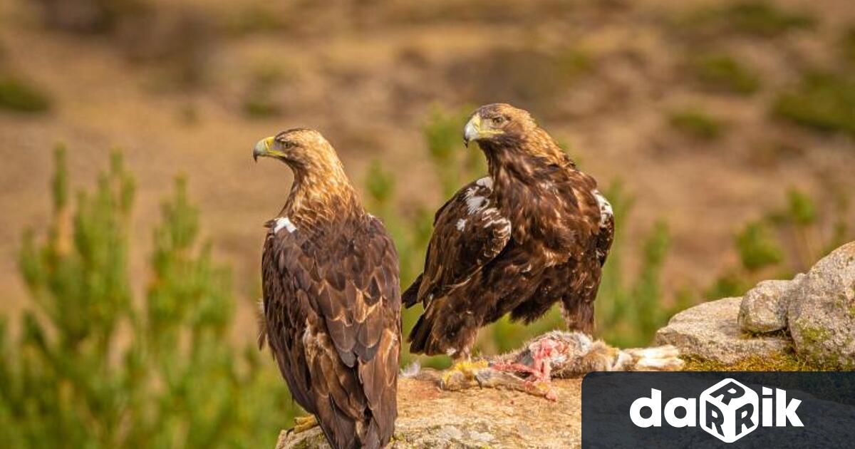 Граждани и учени стартират подписка за спасяването на защитена зона