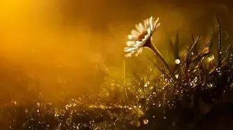 Предимно слънчево време и утре