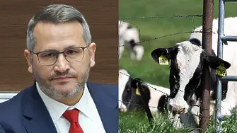 Разкриха канал за контрабандно месо край Ихтиман