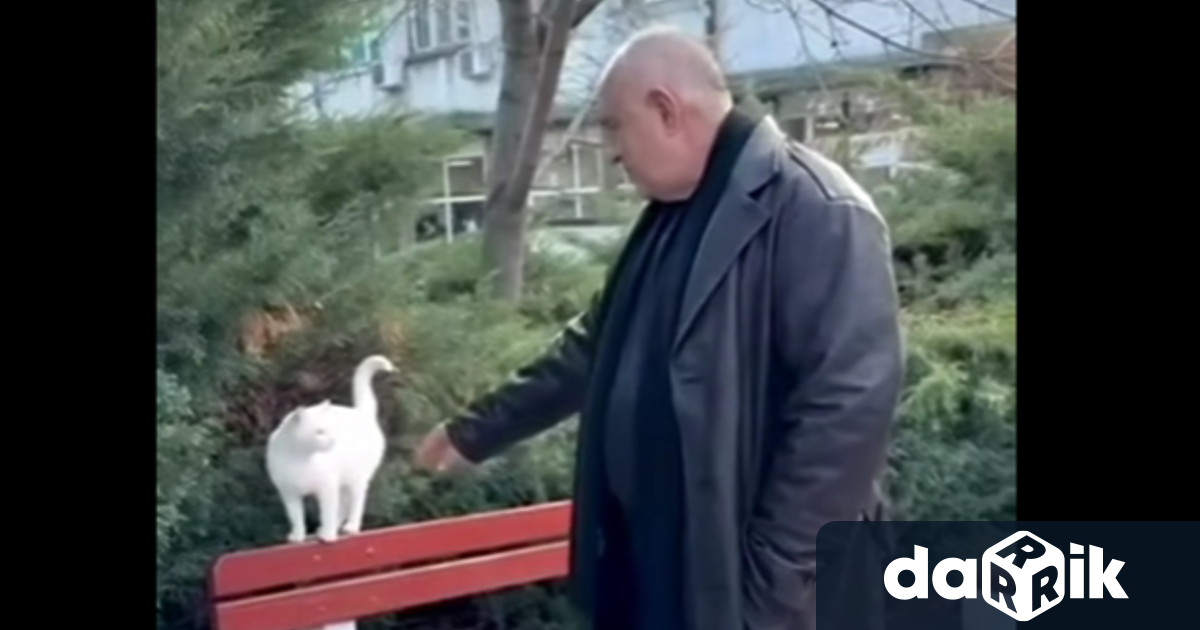 Лидерът на ГЕРБ Бойко Борисов се срещна с бяла котка
