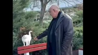 След белия лебед: Борисов на среща с бяла котка