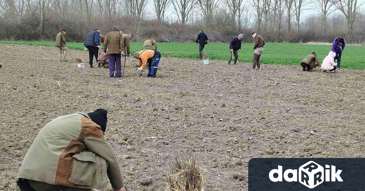 На площ от 42 декара в землището на сливенското село