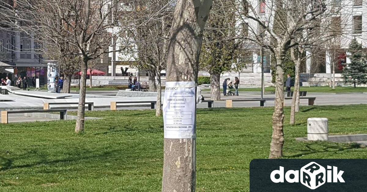 Третиране на външни тревни площи срещу кърлежи дезакаризация и бълхи
