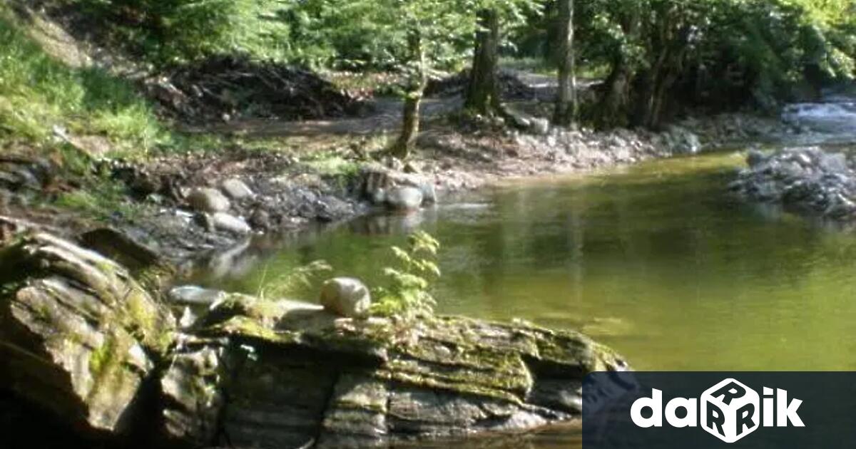 С различни събития в страната ще бъде отбелязан Световният ден