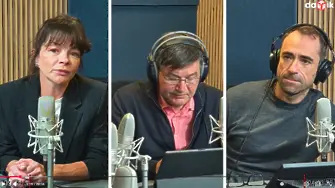 Анализирай това: Травматичните раздели