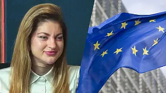 Вицепремиерът Недина: Пари от Европа се получават срещу реформи