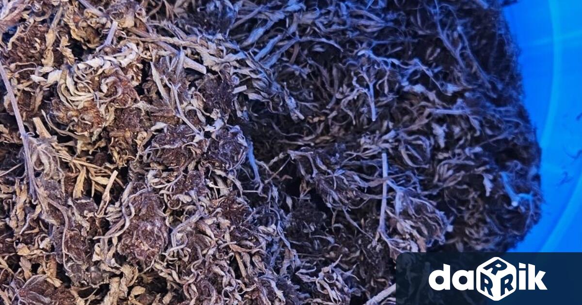 Двама мъже са задържани в Районно управление Лом за
