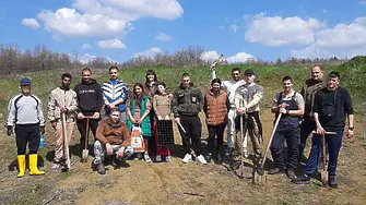 Ученици и горски залесиха фиданки от черен бор в землището на с. Научене