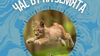 Община Севлиево се включва в юбилейното 20-то издание на "Часът на земята"