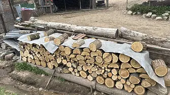 Установиха 10 нарушения в Градец при акция на ЮИДП, горски служители и полиция 