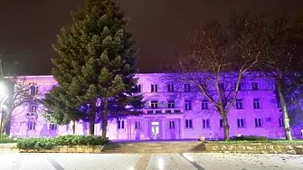 Враца ще отбележи Purple Day – Деня за информираност за епилепсията