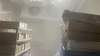 БАБХ затвори месопреработвателно предприятие в Монтана