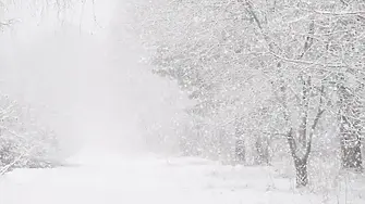 Сняг изненада България