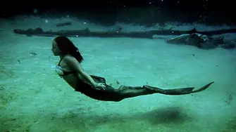 Мумифицирана "русалка" ще се продава на търг в Япония