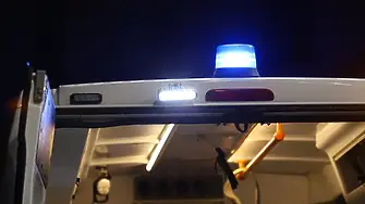 Голямо дърво падна и рани двама души в Рим