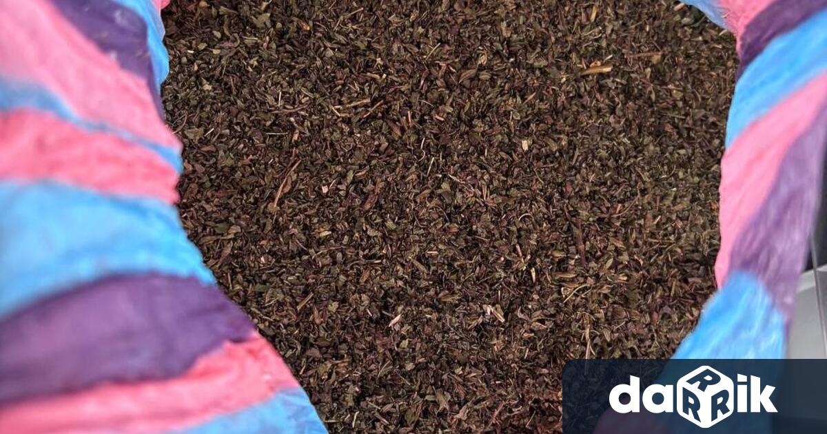 Криминалисти от Районно управление – Монтана иззеха 722 грама амфетамини