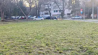 Обработката срещу кърлежи и бълхи на зелени площи в община Плевен ще се извърши от 6 до 8 април