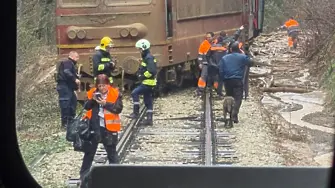 Пътнически влак дерайлира в Старозагорско (СНИМКИ)