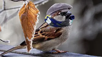 По-студен ли е март 2026г. от миналогодишния?