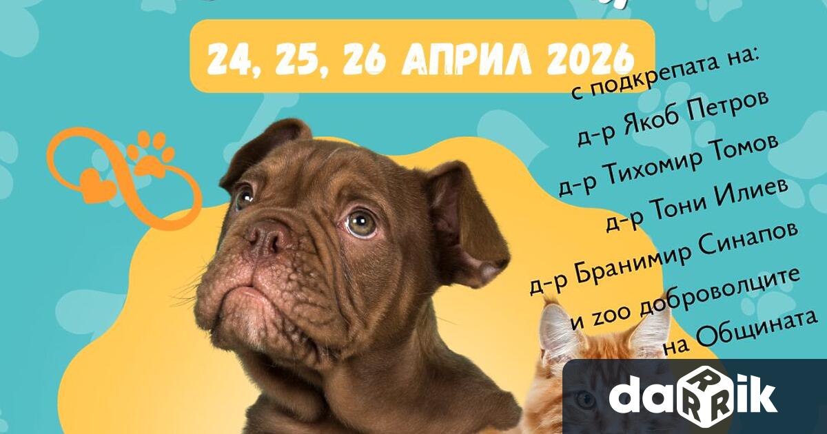 Община Нова Загора съвместно с Фондация Animal Hope Bulgaria –