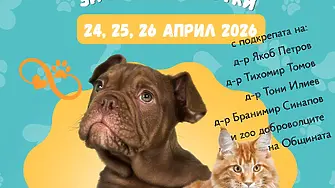 Нова Загора обявява кампания за безплатна кастрация на домашни кучета и котки