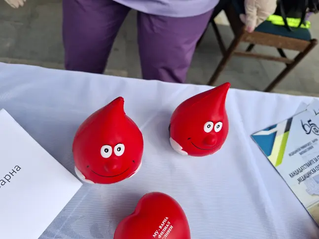 Засилен интерес към инициативата в Сливен, посветена на Световния ден на здравето