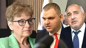 Комитова: Целта на кражбите не е политиците да се наядат, а да се купуват избори!