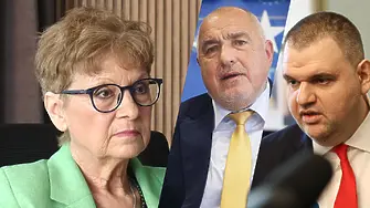 Комитова: Българските политици крадат! Ужасно крадат!