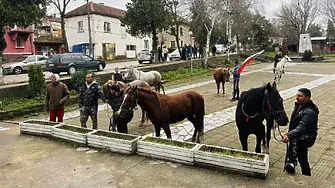 На конни надбягвания  в село Три кладенци