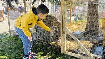 Великденско настроение в сърцето на Враца