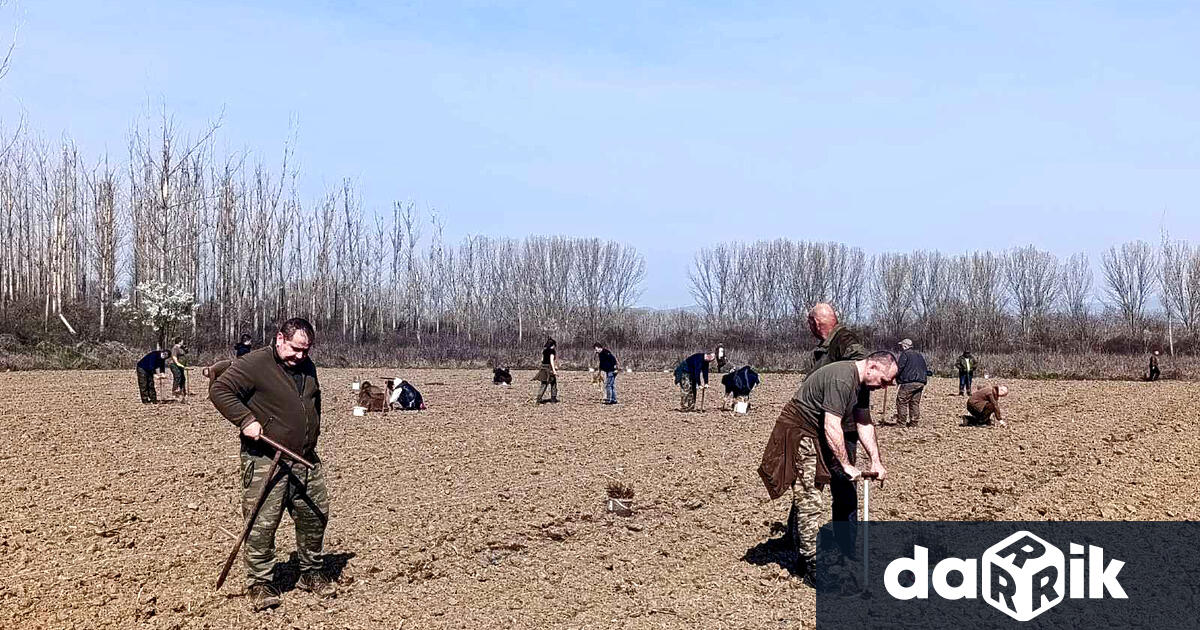 Със съвместно залесяване почетоха професионалния празник служители от ЦУ на