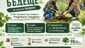 Видинчани ще залесяват Крайдунавския парк