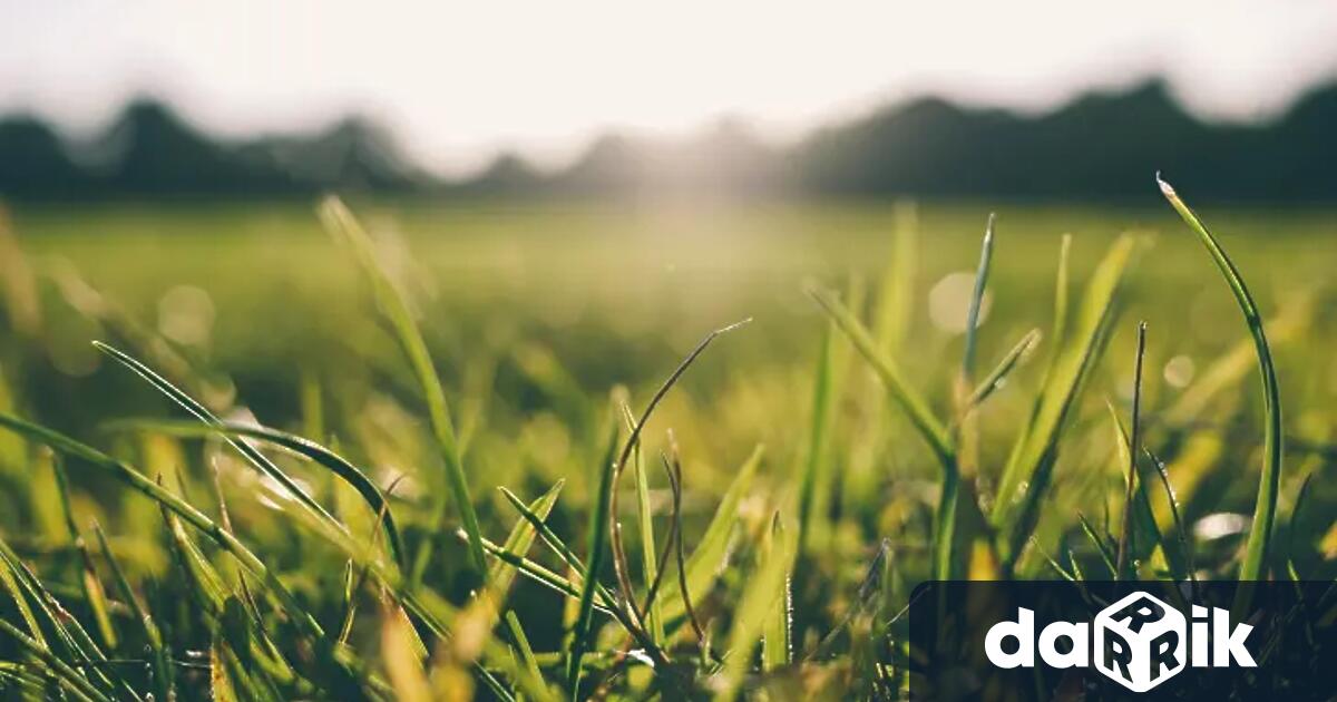 Днес ще бъде предимно слънчево В следобедните часове ще има