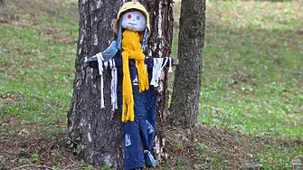 „Плаша цените, а не гаргите“ – в музей „Етър“ очакват бостански плашила