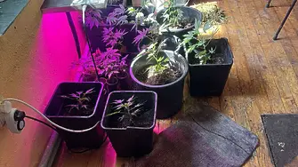 Разкриха нарколаборатория при полицейска акция в село Бреница