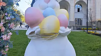 Отново: Поражения по великденската украса в Плевен – часове след монтажа