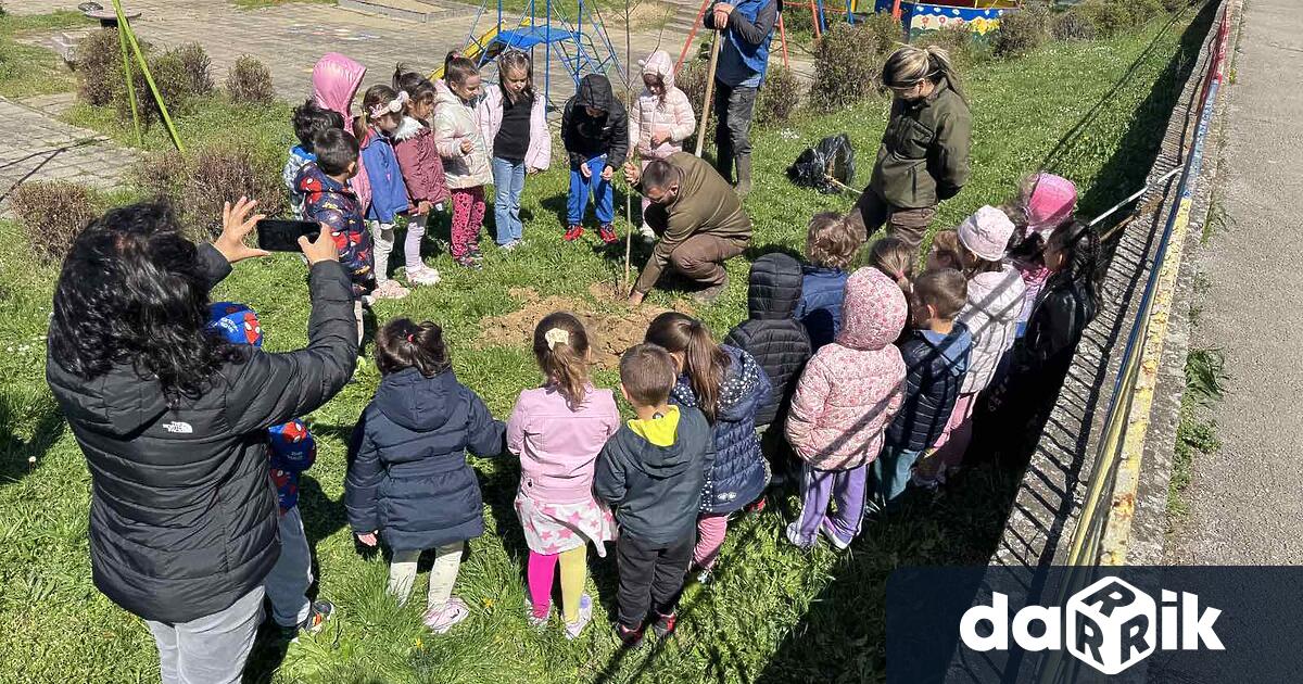 Нова смесена широколистна гора от 9 декара бе създадена край