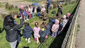 Близо 8000 фиданки поставиха началото на нова гора край Габрово