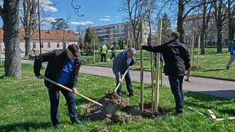Още 50 нови дървета засадиха в парк "Казармите" Община Севлиево и ДКЦ - 1