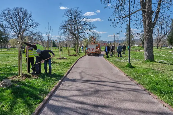 Още 50 нови дървета засадиха в парк "Казармите" Община Севлиево и ДКЦ - 1