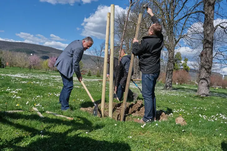 Още 50 нови дървета засадиха в парк "Казармите" Община Севлиево и ДКЦ - 1