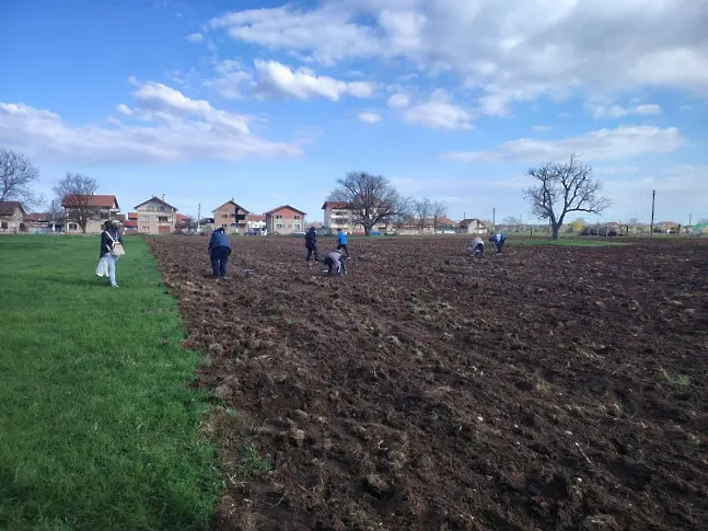  Общинско предприятие „Социални дейности“ развива собствено производство на плодове и зеленчуци