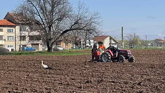  Общинско предприятие „Социални дейности“ развива собствено производство на плодове и зеленчуци