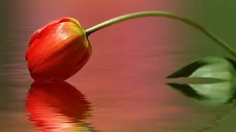 11-ти април е Световен ден за борба с болестта Паркинсон