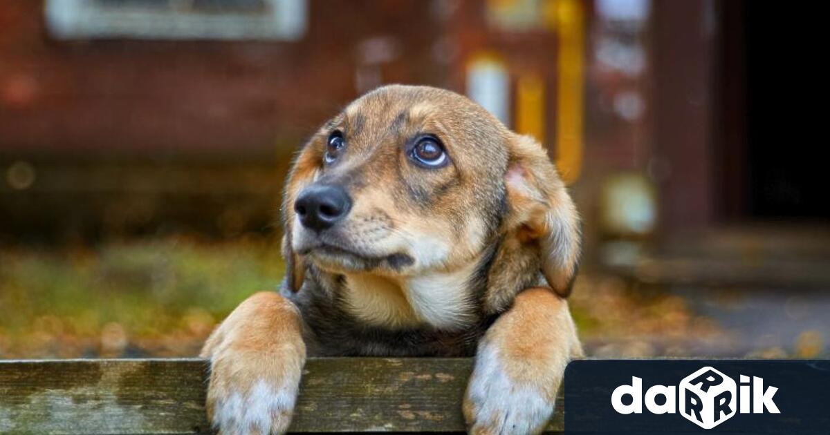 В изпълнение на Наредба №4 от 01 02 2021 г за прилагане