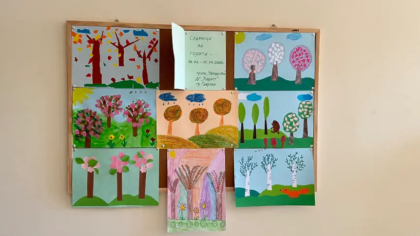 Близо 8000 фиданки поставиха началото на нова гора край Габрово